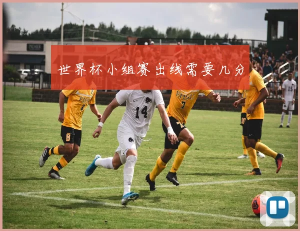 世界杯小组赛出线需要几分